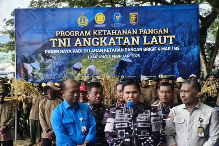 Kepala Staf Angkatan Laut (Kasal) Laksamana TNI Muhammad Ali, saat memberi keterangan usai panen raya di Kabupaten Pesawaran, Provinsi Lampung, Senin (3/2/2025). (Antara)